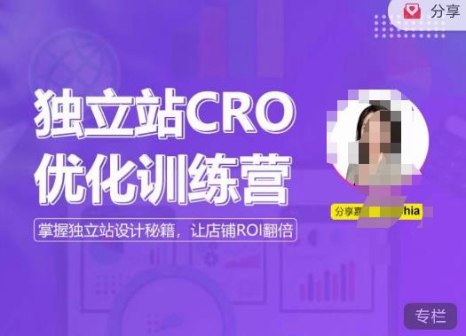 独立站CRO优化训练营，掌握独立站设计秘籍，打造高转化的独立站，让店铺ROI翻倍网创库-网创项目资源站-副业项目-创业项目-搞钱项目网创库