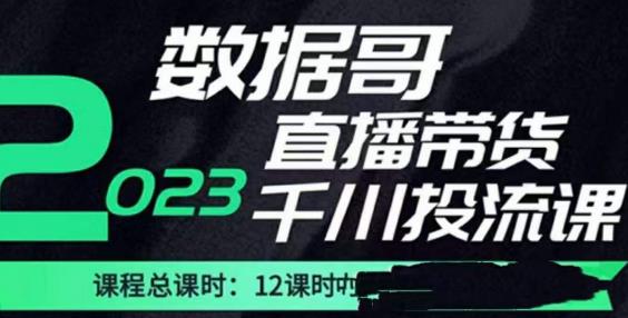数据哥2023直播电商巨量千川付费投流实操课,快速掌握直播带货运营投放策略网创库-网创项目资源站-副业项目-创业项目-搞钱项目网创库