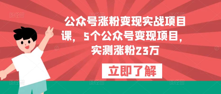 公众号涨粉变现实战项目课，5个公众号变现项目，实测涨粉23万网创库-网创项目资源站-副业项目-创业项目-搞钱项目网创库