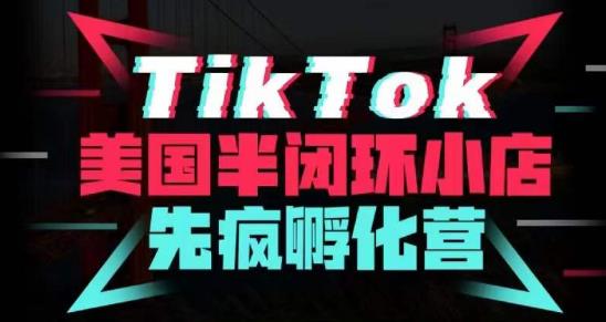 疯人院·TikTok美国半闭环小店孵化营，抢占TikTok美国蓝海市场，开店、运营、带货、投流全实操网创库-网创项目资源站-副业项目-创业项目-搞钱项目网创库