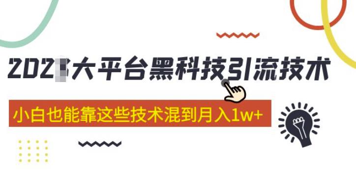 大平台黑科技引流技术，小白也能靠这些技术混到月入1w+(2022年的课程）网创库-网创项目资源站-副业项目-创业项目-搞钱项目网创库
