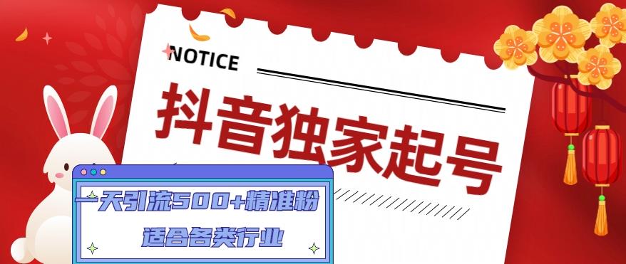 抖音独家起号，一天引流500+精准粉，适合各类行业（9节视频课）网创库-网创项目资源站-副业项目-创业项目-搞钱项目网创库