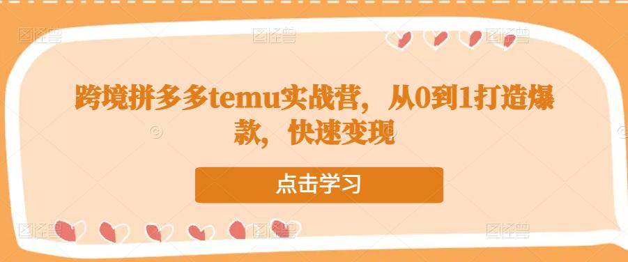 跨境拼多多temu实战营，从0到1打造爆款，快速变现网创库-网创项目资源站-副业项目-创业项目-搞钱项目网创库