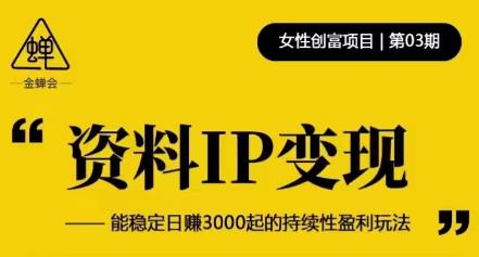 资料IP变现，能稳定日赚3000起的持续性盈利玩法网创库-网创项目资源站-副业项目-创业项目-搞钱项目网创库