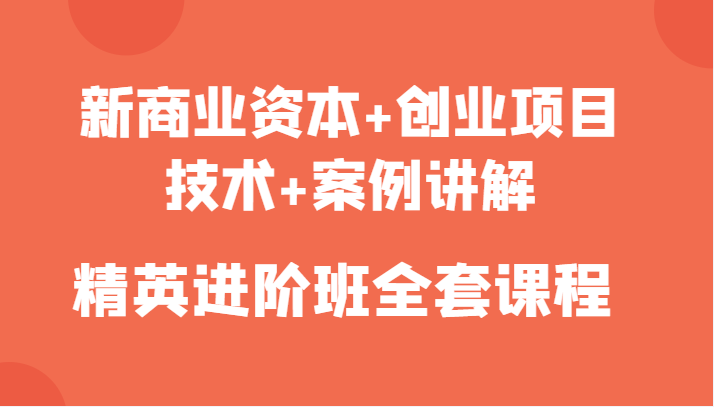 新商业资本+创业项目,技术+案例讲解,精英进阶班全套课程网创库-网创项目资源站-副业项目-创业项目-搞钱项目网创库