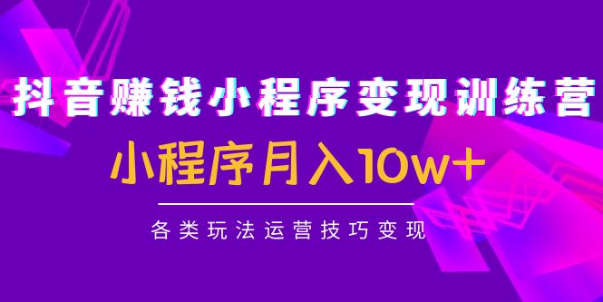 抖音赚钱小程序变现训练营:小程序月入10w+各类玩法运营技巧变现网创库-网创项目资源站-副业项目-创业项目-搞钱项目网创库