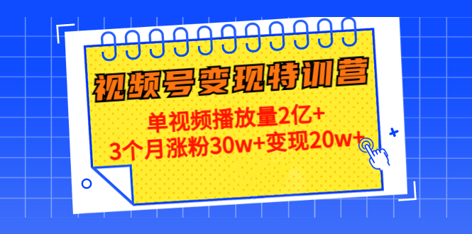 21天视频号变现特训营:单视频播放量2亿+3个月涨粉30w+变现20w+网创库-网创项目资源站-副业项目-创业项目-搞钱项目网创库