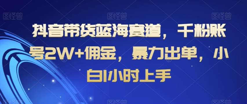 抖音带货蓝海赛道,千粉账号2W+佣金,暴力出单,小白1小时上手【揭秘】网创库-网创项目资源站-副业项目-创业项目-搞钱项目网创库