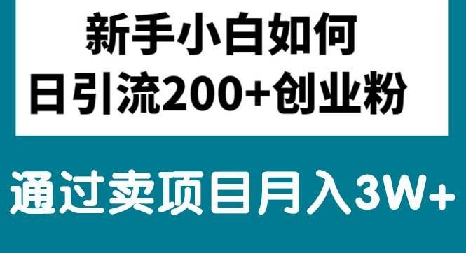 （10843期）新手小白日引流200+创业粉,通过卖项目月入3W+网创库-网创项目资源站-副业项目-创业项目-搞钱项目网创库