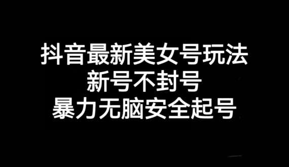抖音最新美女号玩法，新号不封号，暴力无脑安全起号【揭秘】网创库-网创项目资源站-副业项目-创业项目-搞钱项目网创库