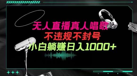 抖音24小时无人直播音乐，不违规，不封号纯撸音浪，小白实操当天日入1000+【揭秘】网创库-网创项目资源站-副业项目-创业项目-搞钱项目网创库