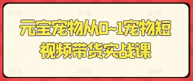 元宝宠物从0~1宠物短视频带货实战课网创库-网创项目资源站-副业项目-创业项目-搞钱项目网创库