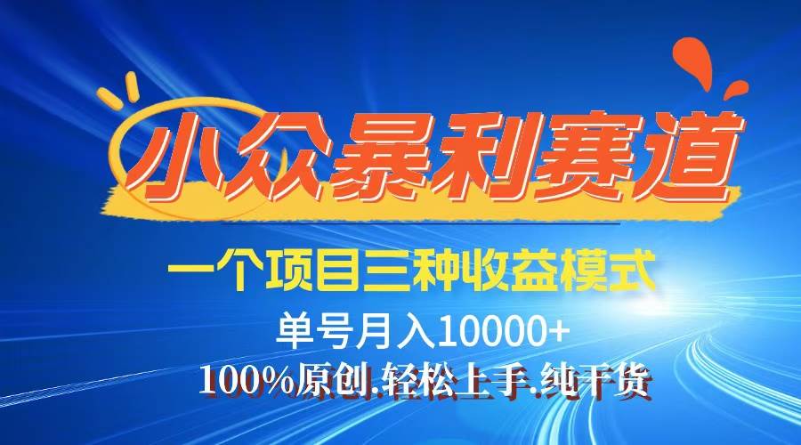 （12579期）【老人言】-视频号爆火赛道，三种变现方式，0粉新号调调爆款网创库-网创项目资源站-副业项目-创业项目-搞钱项目网创库
