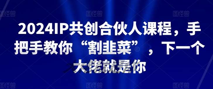 2024IP共创合伙人课程,手把手教你“割韭菜”,下一个大佬就是你网创库-网创项目资源站-副业项目-创业项目-搞钱项目网创库