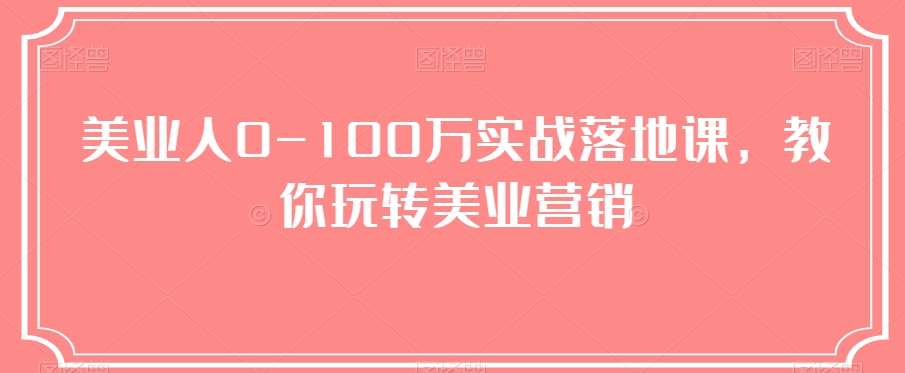 美业人0-100万实战落地课,教你玩转美业营销网创库-网创项目资源站-副业项目-创业项目-搞钱项目网创库