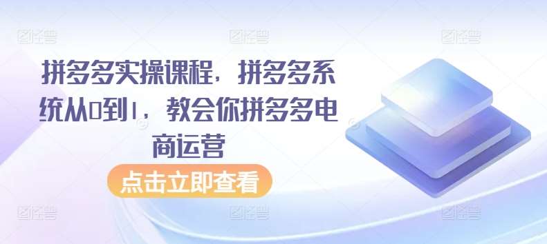 拼多多实操课程,拼多多系统从0到1,教会你拼多多电商运营网创库-网创项目资源站-副业项目-创业项目-搞钱项目网创库