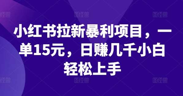 小红书拉新暴利项目,一单15元,日赚几千小白轻松上手【揭秘】网创库-网创项目资源站-副业项目-创业项目-搞钱项目网创库