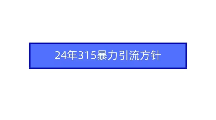 （9398期）2024年315暴力引流方针网创库-网创项目资源站-副业项目-创业项目-搞钱项目网创库