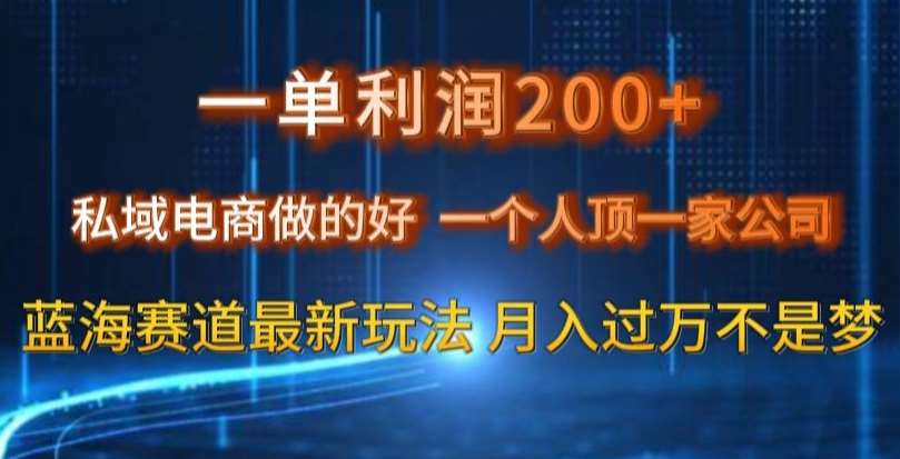 一单利润200私域电商做的好，一个人顶一家公司蓝海赛道最新玩法【揭秘】网创库-网创项目资源站-副业项目-创业项目-搞钱项目网创库