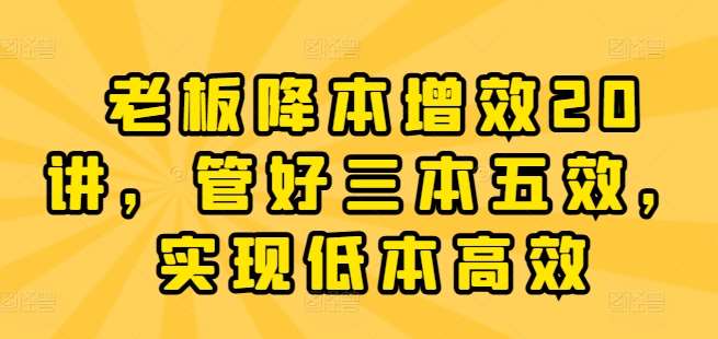 老板降本增效20讲,管好三本五效,实现低本高效网创库-网创项目资源站-副业项目-创业项目-搞钱项目网创库