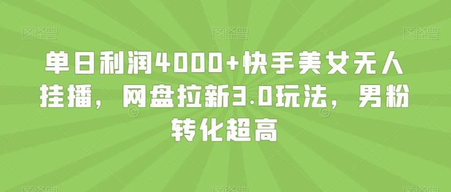 单日利润4000+快手美女无人挂播,网盘拉新3.0玩法,男粉转化超高【揭秘】网创库-网创项目资源站-副业项目-创业项目-搞钱项目网创库