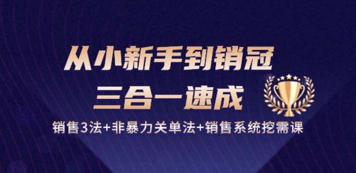 从小新手到销冠 三合一速成：销售3法+非暴力关单法+销售系统挖需课 (27节)网创库-网创项目资源站-副业项目-创业项目-搞钱项目网创库