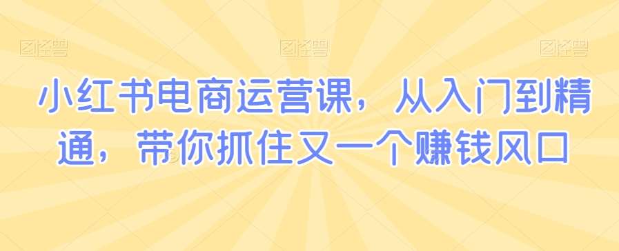 小红书电商运营课，从入门到精通，带你抓住又一个赚钱风口网创库-网创项目资源站-副业项目-创业项目-搞钱项目网创库