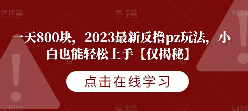 一天800块，2023最新反撸pz玩法，小白也能轻松上手【仅揭秘】网创库-网创项目资源站-副业项目-创业项目-搞钱项目网创库