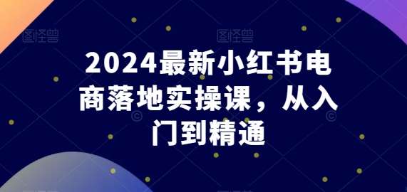 2024最新小红书电商落地实操课，从入门到精通网创库-网创项目资源站-副业项目-创业项目-搞钱项目网创库