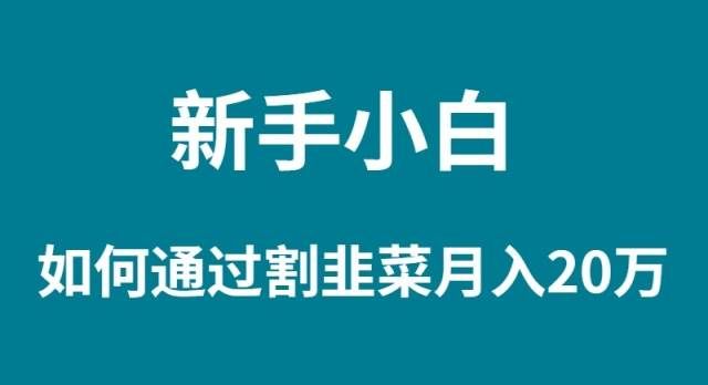 (9308期)新手小白如何通过割韭菜月入 20W网创库-网创项目资源站-副业项目-创业项目-搞钱项目网创库