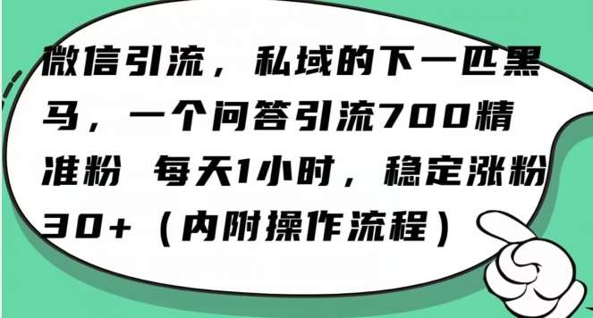 怎么搞精准创业粉？微信新赛道，每天一小时，利用Ai一个问答日引100精准粉网创库-网创项目资源站-副业项目-创业项目-搞钱项目网创库