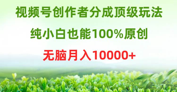 （9608期）视频号创作者分成顶级玩法，纯小白也能100%原创，无脑月入10000+网创库-网创项目资源站-副业项目-创业项目-搞钱项目网创库