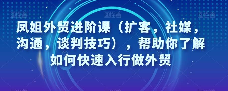 凤姐外贸进阶课（扩客，社媒，沟通，谈判技巧），帮助你了解如何快速入行做外贸网创库-网创项目资源站-副业项目-创业项目-搞钱项目网创库