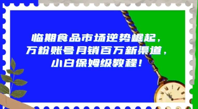 临期食品市场逆势崛起，万粉账号月销百万新渠道，小白保姆级教程【揭秘】网创库-网创项目资源站-副业项目-创业项目-搞钱项目网创库