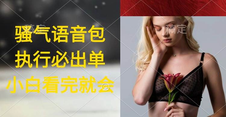 (9589期)执行就出单,日入2000+,超火骚气语音包,小白看完课程就能马上实操网创库-网创项目资源站-副业项目-创业项目-搞钱项目网创库