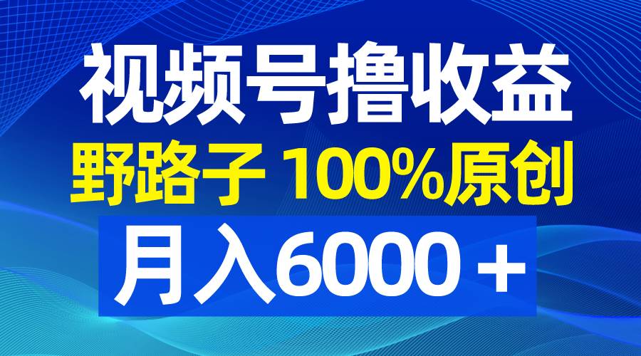 （8679期）视频号野路子撸收益，100%原创，条条爆款，月入6000＋网创库-网创项目资源站-副业项目-创业项目-搞钱项目网创库