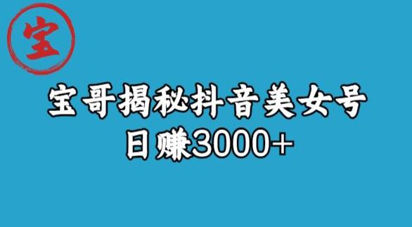 宝哥揭秘抖音美女号玩法，日赚3000+【揭秘】网创库-网创项目资源站-副业项目-创业项目-搞钱项目网创库