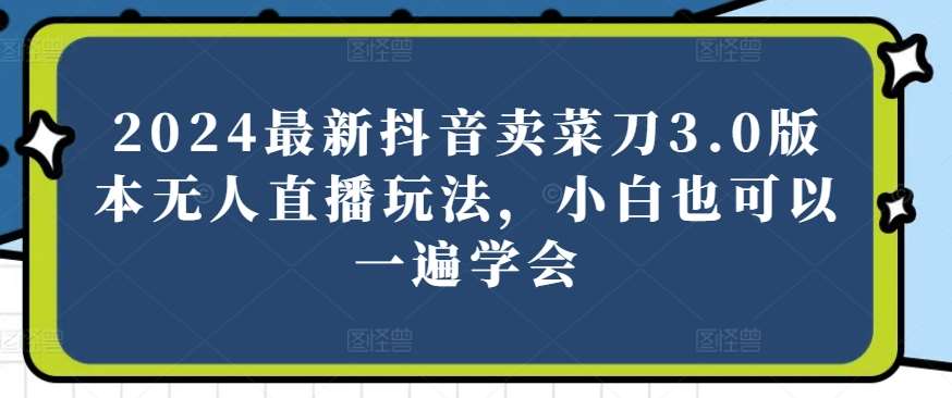 2024最新抖音卖菜刀3.0版本无人直播玩法,小白也可以一遍学会【揭秘】网创库-网创项目资源站-副业项目-创业项目-搞钱项目网创库