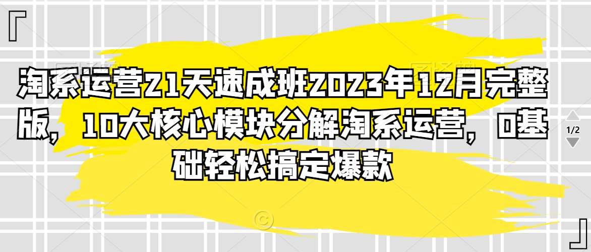 淘系运营21天速成班2023年12月完整版，10大核心模块分解淘系运营，0基础轻松搞定爆款网创库-网创项目资源站-副业项目-创业项目-搞钱项目网创库