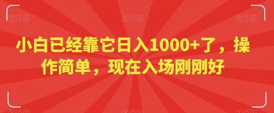 小白已经靠它日入1000+了，操作简单，现在入场刚刚好【揭秘】网创库-网创项目资源站-副业项目-创业项目-搞钱项目网创库