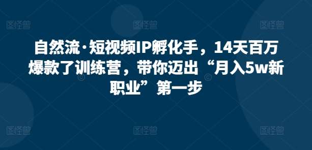 自然流·短视频IP孵化手，14天百万爆款了训练营，带你迈出“月入5w新职业”第一步网创库-网创项目资源站-副业项目-创业项目-搞钱项目网创库