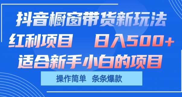 抖音橱窗带货新玩法，单日收益几张，操作简单，条条爆款【揭秘】网创库-网创项目资源站-副业项目-创业项目-搞钱项目网创库