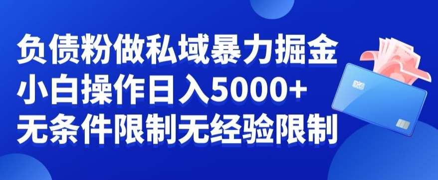 负债粉私域暴力掘金，小白操作入5000，无经验限制，无条件限制【揭秘】网创库-网创项目资源站-副业项目-创业项目-搞钱项目网创库