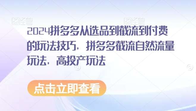 2024拼多多从选品到截流到付费的玩法技巧,拼多多截流自然流量玩法,高投产玩法网创库-网创项目资源站-副业项目-创业项目-搞钱项目网创库