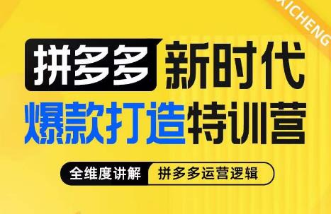 玺承·拼多多新时代爆款打造特训营,全维度讲解拼多多运营逻辑网创库-网创项目资源站-副业项目-创业项目-搞钱项目网创库