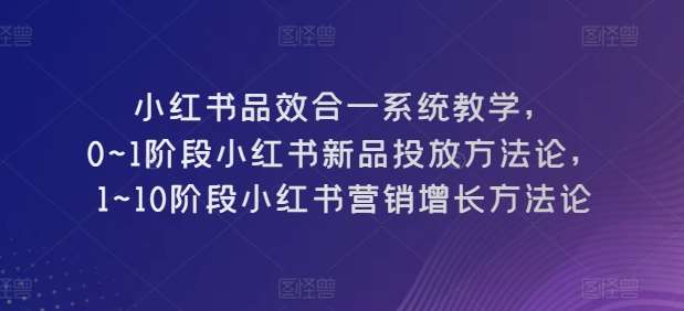 小红书品效合一系统教学,0~1阶段小红书新品投放方法论,1~10阶段小红书营销增长方法论网创库-网创项目资源站-副业项目-创业项目-搞钱项目网创库