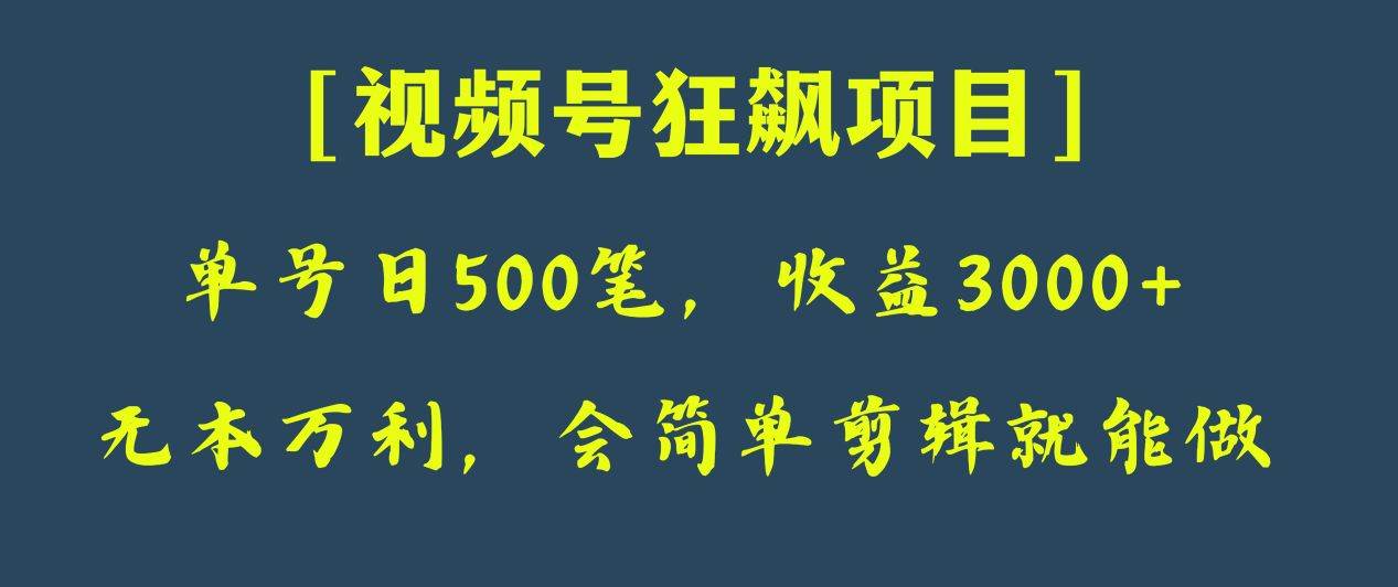 日收款500笔,纯利润3000+,视频号狂飙项目!网创库-网创项目资源站-副业项目-创业项目-搞钱项目网创库