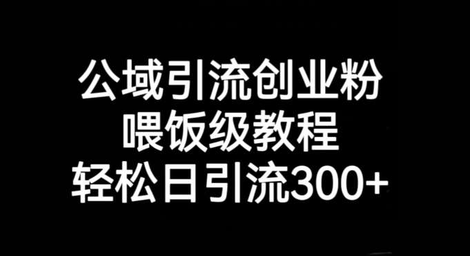 公域引流创业粉，喂饭级教程，轻松日引流300+【揭秘】网创库-网创项目资源站-副业项目-创业项目-搞钱项目网创库