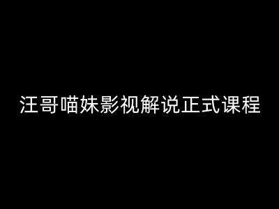 汪哥影视解说正式课程:剪映/PR教学/视解说剪辑5大黄金法则/全流程剪辑7把利器等等网创库-网创项目资源站-副业项目-创业项目-搞钱项目网创库