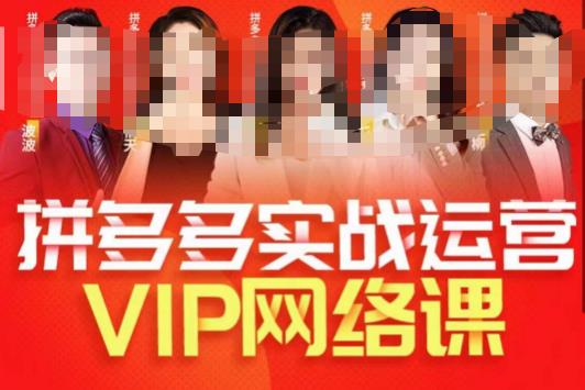推易拼多多VIP全套直播课程，拼多多店铺实操玩法+实战玩法选款内功+直通车高阶等网创库-网创项目资源站-副业项目-创业项目-搞钱项目网创库